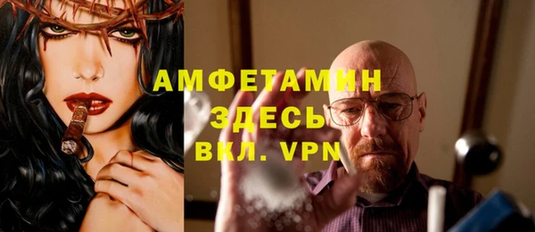 твердый Заводоуковск