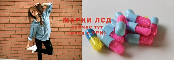 твердый Заводоуковск