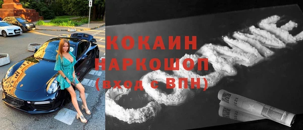твердый Заводоуковск