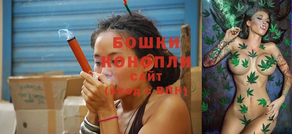 молекула духа Заволжск