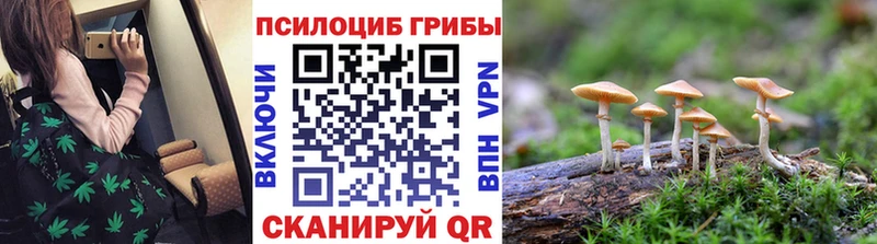 Псилоцибиновые грибы MAGIC MUSHROOMS  Купить  Бодайбо 